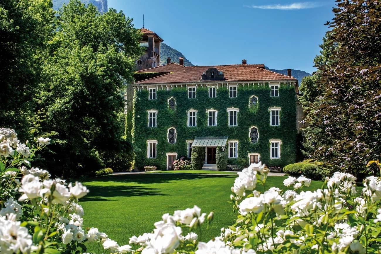 Wine Visit - San Leonardo