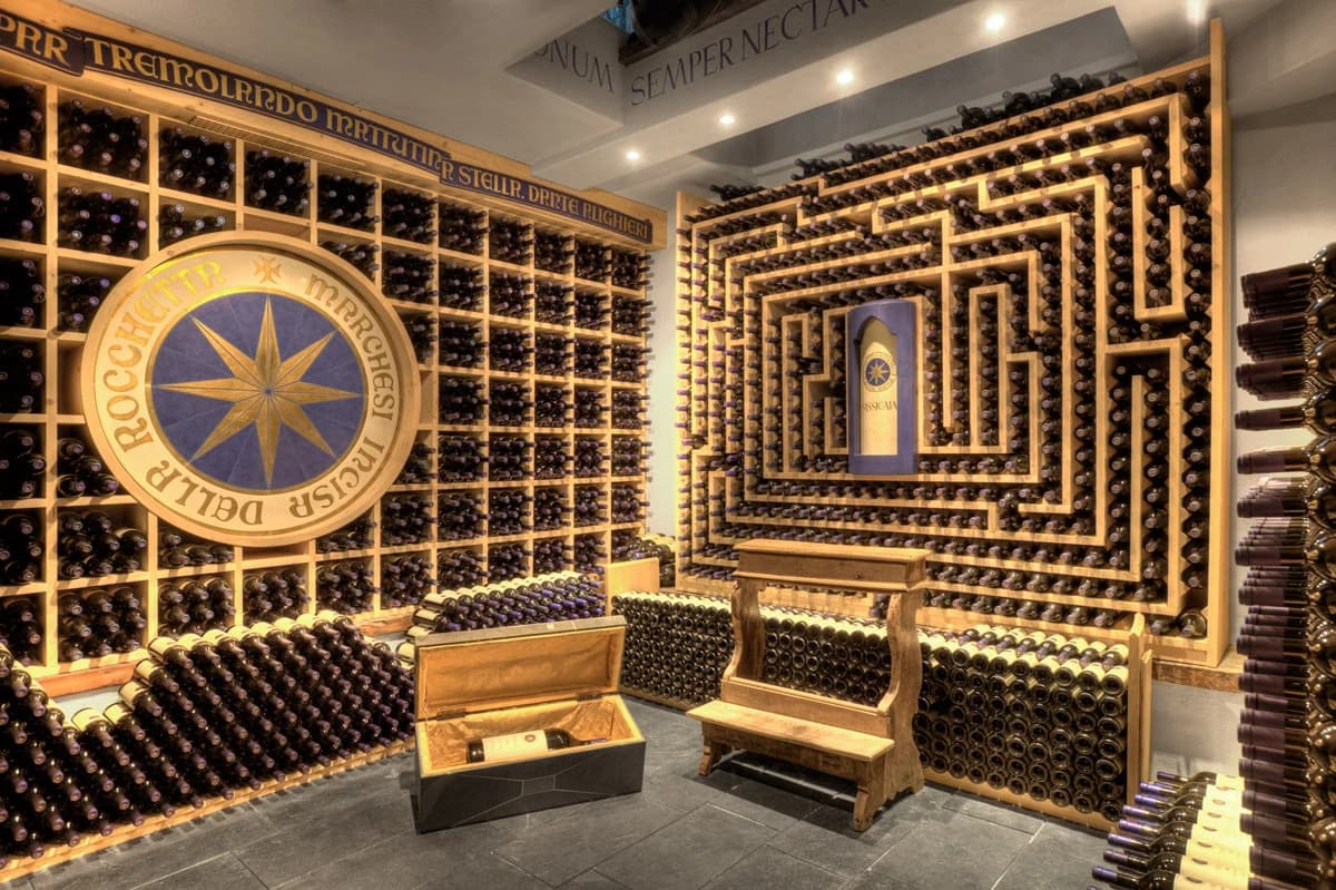 Wine Visit - Sassicaia
